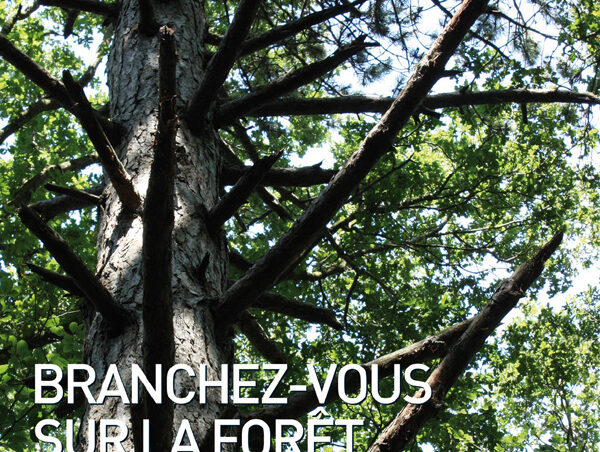 N° 290 - Septembre 2011