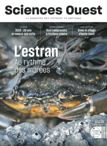 Magazine SO 439
